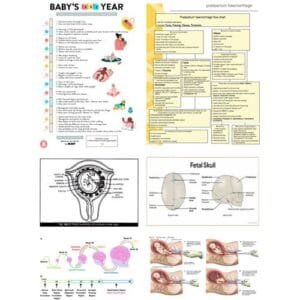 10020-GYNECOLOGY & OBSTETRICS