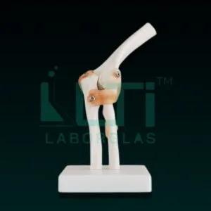 10380-ELBOW JOINT