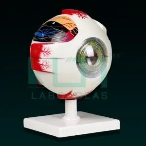 10402-EYE ON STAND