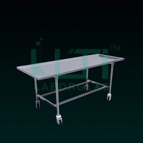 13540-Embalming Table