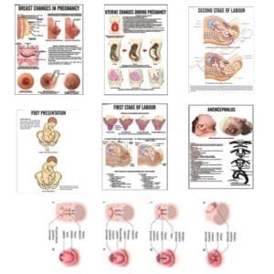 9990-IMPORTANT NURSING CHARTS